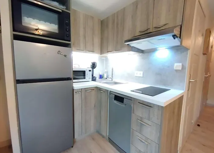 T3 Pour 6 A Avec Terrasse, Parking Et Casier A Skis - Fr-1-457-346 * Vignec